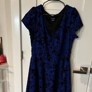 City Chic Velvet Blue and Black Dress